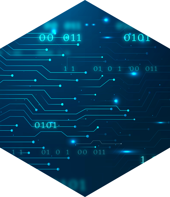 IT service, Ibis solutions