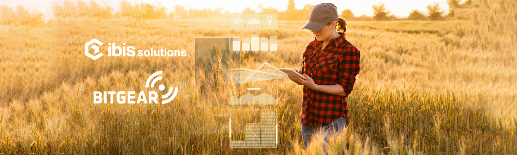 ibis solutions and bitgear cooperation